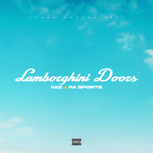Lamborghini Doors