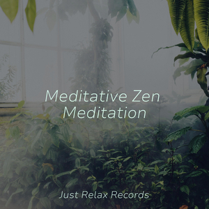 Whispers in Willow Shade