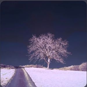 爱在哪里去了哪里