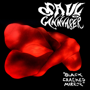 Black Cracked Mirror