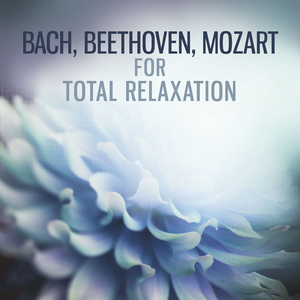 Cello Suite No. 3 in C Major, BWV 1009: I. Prelude