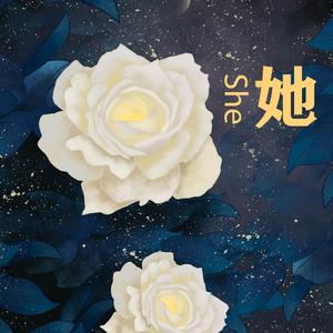 她/他
