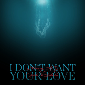 I Don't Want Your Love