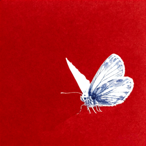 【免费伴奏】 Melodic Rap/R&B PopRap Trap