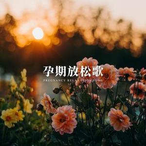 孕期幸福摇篮曲