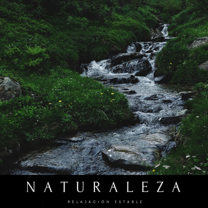 Calma En Nuestra Tierra