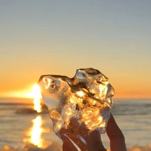 记忆是盛开的荒落