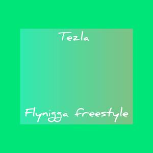 Fly Nigga Freestyle