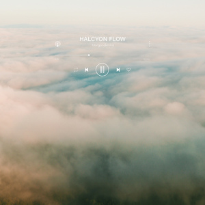 Halcyon Flow