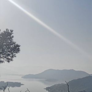 未醒的晨