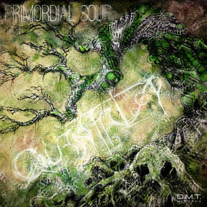 Evolutio Saltu (Original Mix)