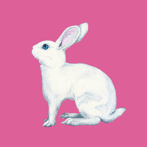 青い空 (Hyper Ver.)