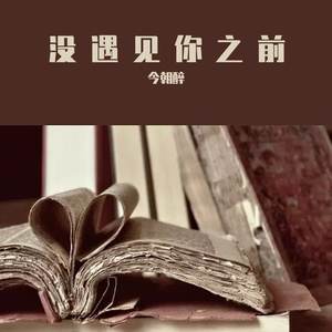 没遇见之前(Prod EVOMUSIC )