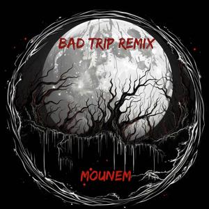 Bad Trip (Remix)