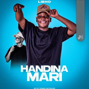 Handina mari