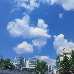 幽夜哀鸣.wav.mp3