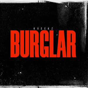 Burglar