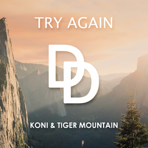 Try Again (Original Mix)