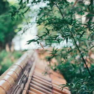 【FREE】“萧” 古风 type beat