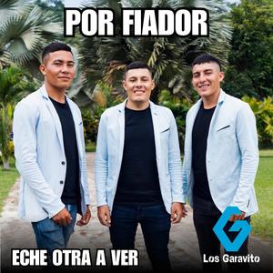 Por Fiador