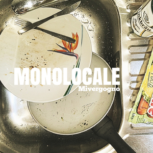 Monolocale