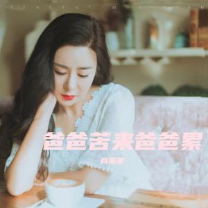 爸爸苦来爸爸累