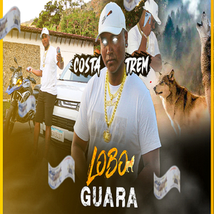 LOBO GUARÁ