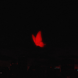 Запутанный мир (feat. Veranze)