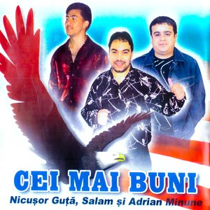 Necazuri și supărare