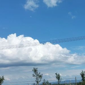 山楂树之恋