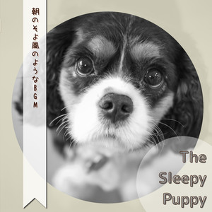 Coffee Papers and Cigarettes