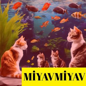 MİYAVMİYAV