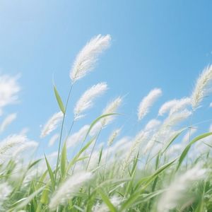 星辰渺渺逐云影