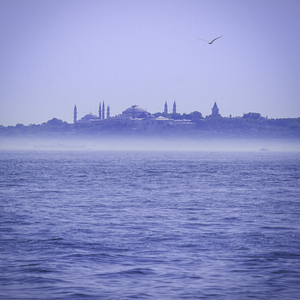 하이든 : 세레나데