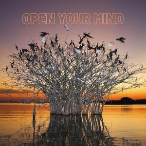 Open your mind