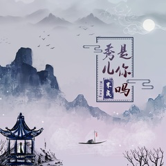 秀儿是你吗 (加速版)(DJ名龙版)