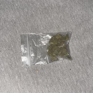 Up All Night, I’d Die For You