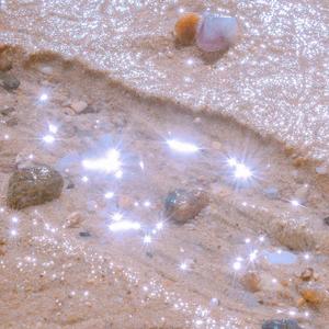 王招君(cover.任素汐）