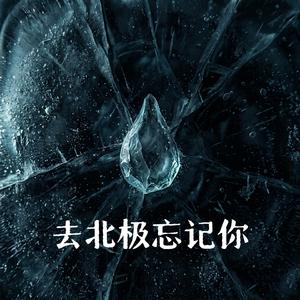 去北极忘记你