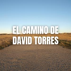 El camino de David Torres
