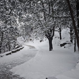 2026年02月07日 12点34分.wav