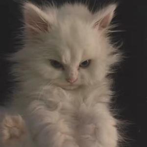 这只伶俐的棕色狐狸跳过一只懒惰的狗