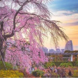 就是爱你（Remix）