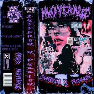 THEY GOT AWAY WITH IT... OUTRO