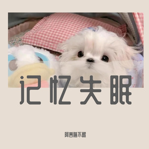 记忆失眠
