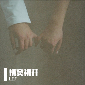 "情窦初开"-Justin Bieber Type Pop Rap 抒情 Beat