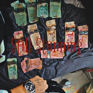 Still Stunning (Rollie)