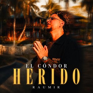 El Cóndor Herido