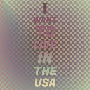I Want To Live In The USA