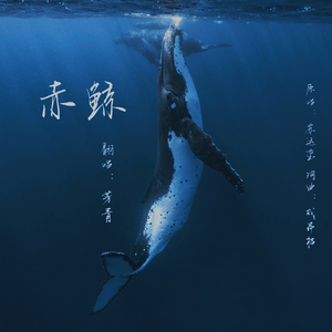 赤鲸